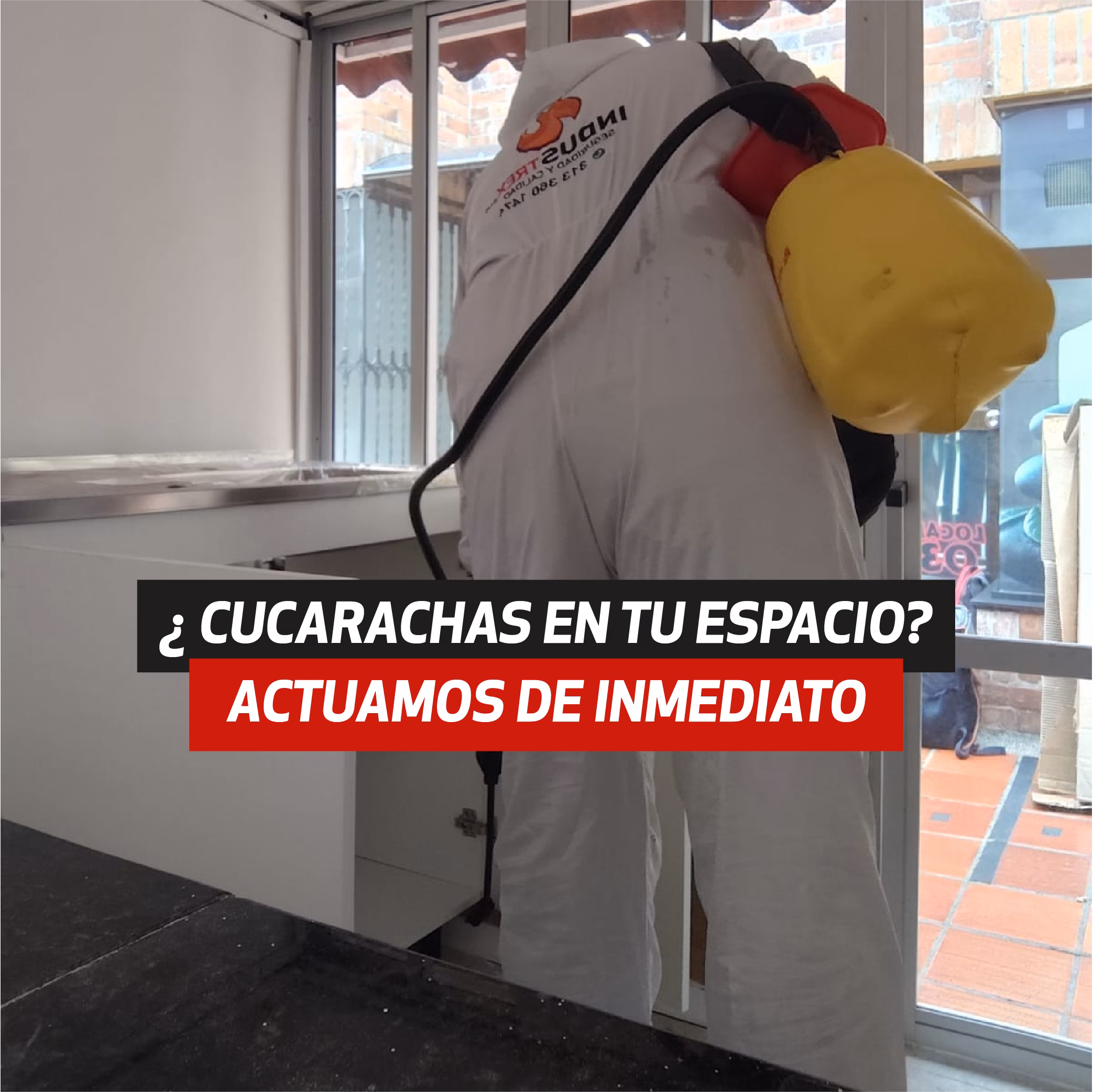Servicios de Fumigación en Bogotá